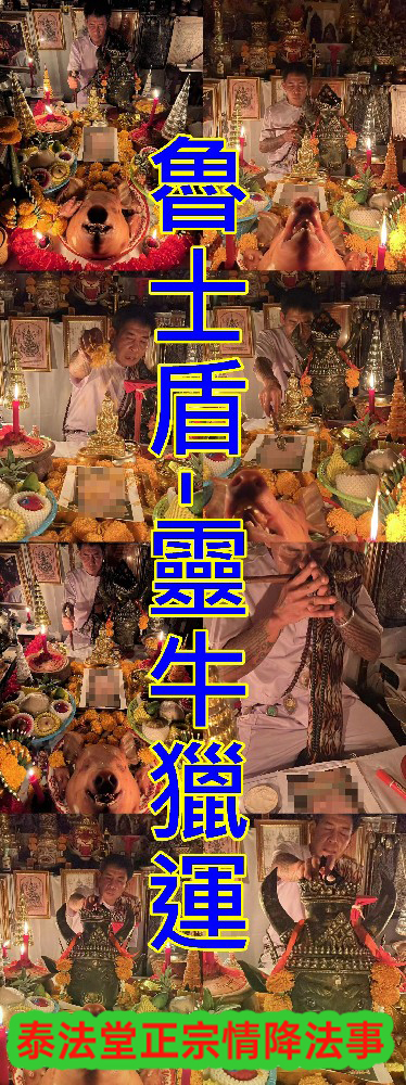 魯士盾-靈牛獵運-8000